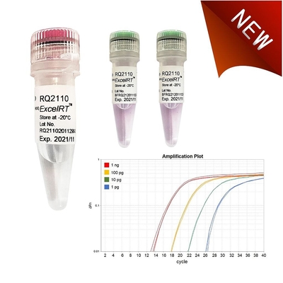 Biochemisches Reagens kein Reaktionen Accuris QMax Rox QPCR Mischungs-X 20ul Grün 1000