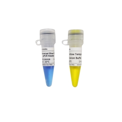 Vorlagenmischung der Universalitäts-2× blaue GSK des Grün-QPCR mit gelbem Verdünnungs-Puffer der Schablonen-40×