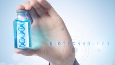 Forschung benutzen schnelles biochemisches Reagens DNA-T4 Ligase-400 U/UL