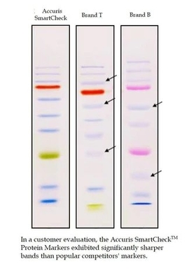 Direktes biochemisches Reagens der Last Farbe-Prestained-Protein-Markierungs-10-180kDa