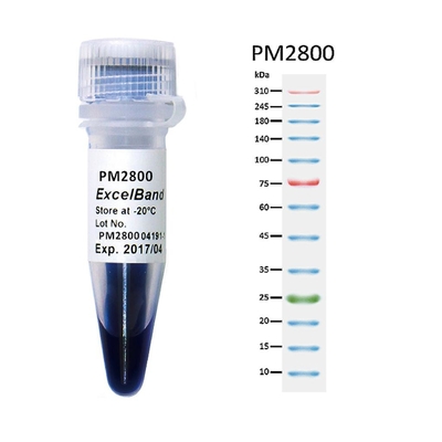 11 der Band-9-180KDA blaue des oberen Bereichs Farbe 25-300kDa der Protein-Markierungs-2x250ul 3