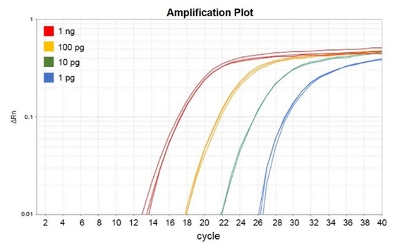 Biochemisches Reagens kein Reaktionen Accuris QMax Rox QPCR Mischungs-X 20ul Grün 1000