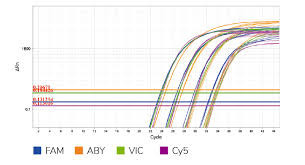 Universal-Hauptmischungs-biochemisches Reagens TaqMan-Multiplex-QPCR