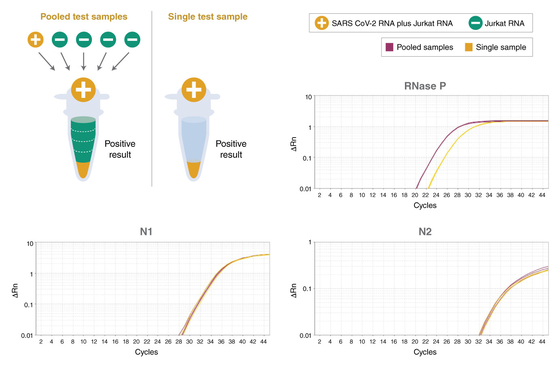 Universal-Hauptmischungs-biochemisches Reagens TaqMan-Multiplex-QPCR