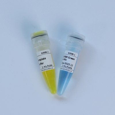 Universal-Hauptmischungs-biochemisches Reagens TaqMan-Multiplex-QPCR