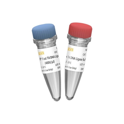 NGS-Bibliotheks-Bau schneller Ligase 400 U/UL DNA-T4 für NUR Forschungs-Gebrauch