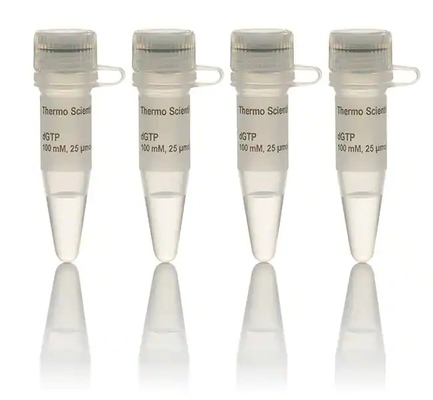Biochemisches Reagens 100 Millimeter DNTP stellte Lösung DATP DCTP DTTP DGTP ein