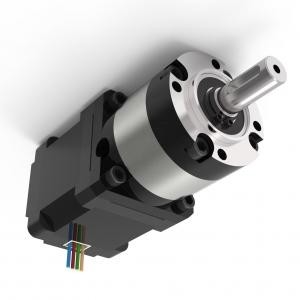 Geräuscharmer DC-Präzisions-Getriebemotor, lange Nutzungsdauer des schwanzlosen DC-Motors 20000h