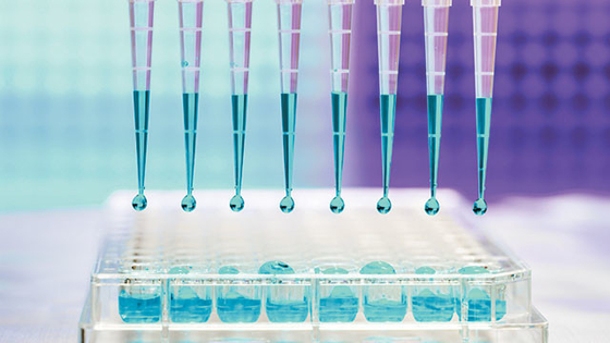 RNase-freie sterile Pipette 10UL 100UL kippt Mikrouniversalität für Labor um